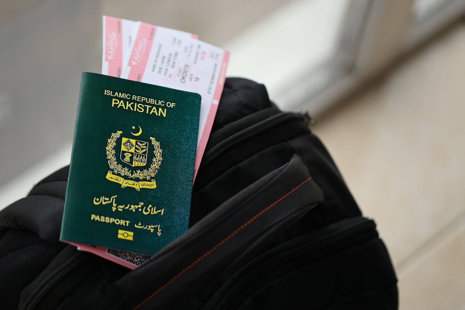 Visa Services, Sky Pass Aviation Services